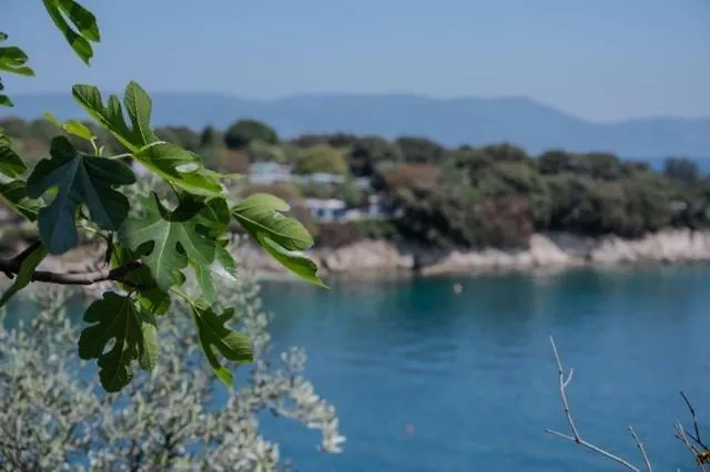 Apartament Alex Drenje  Drenje (Istria)